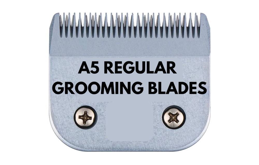 Regular A5 Blade Sharpening