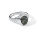 Argent tonic Labradorite Signet Ring - Silver