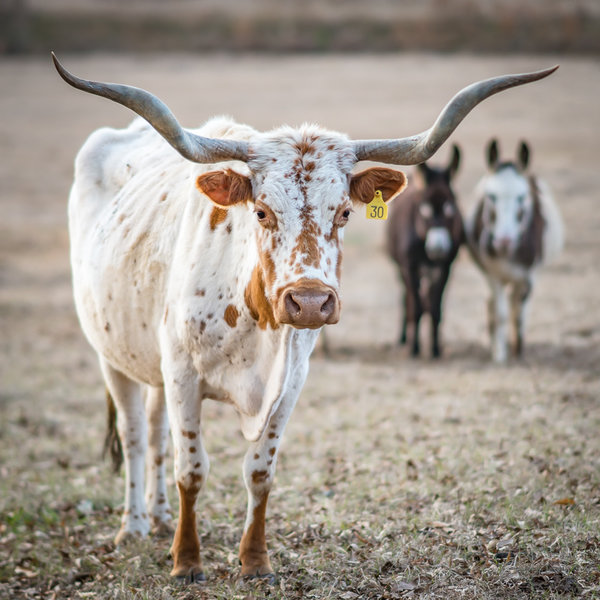 Henley Feed & Farm Supply Henley Feed and Farm Supply