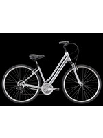 Apollo APOLLO Shoreline WS Silver