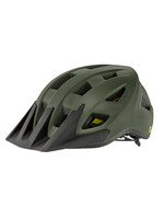 Giant GIANT Path MIPS Helmet
