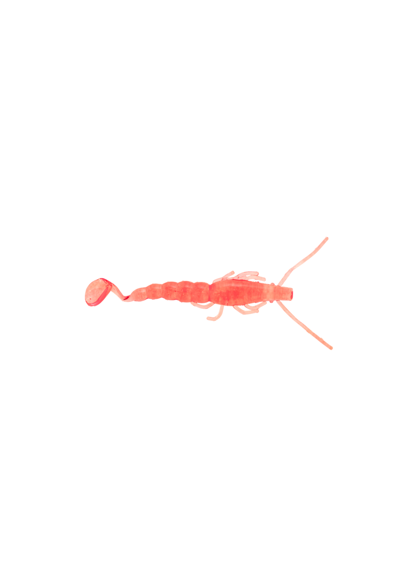 Madeye MADEYE Soft Plastic Paddle Prawn