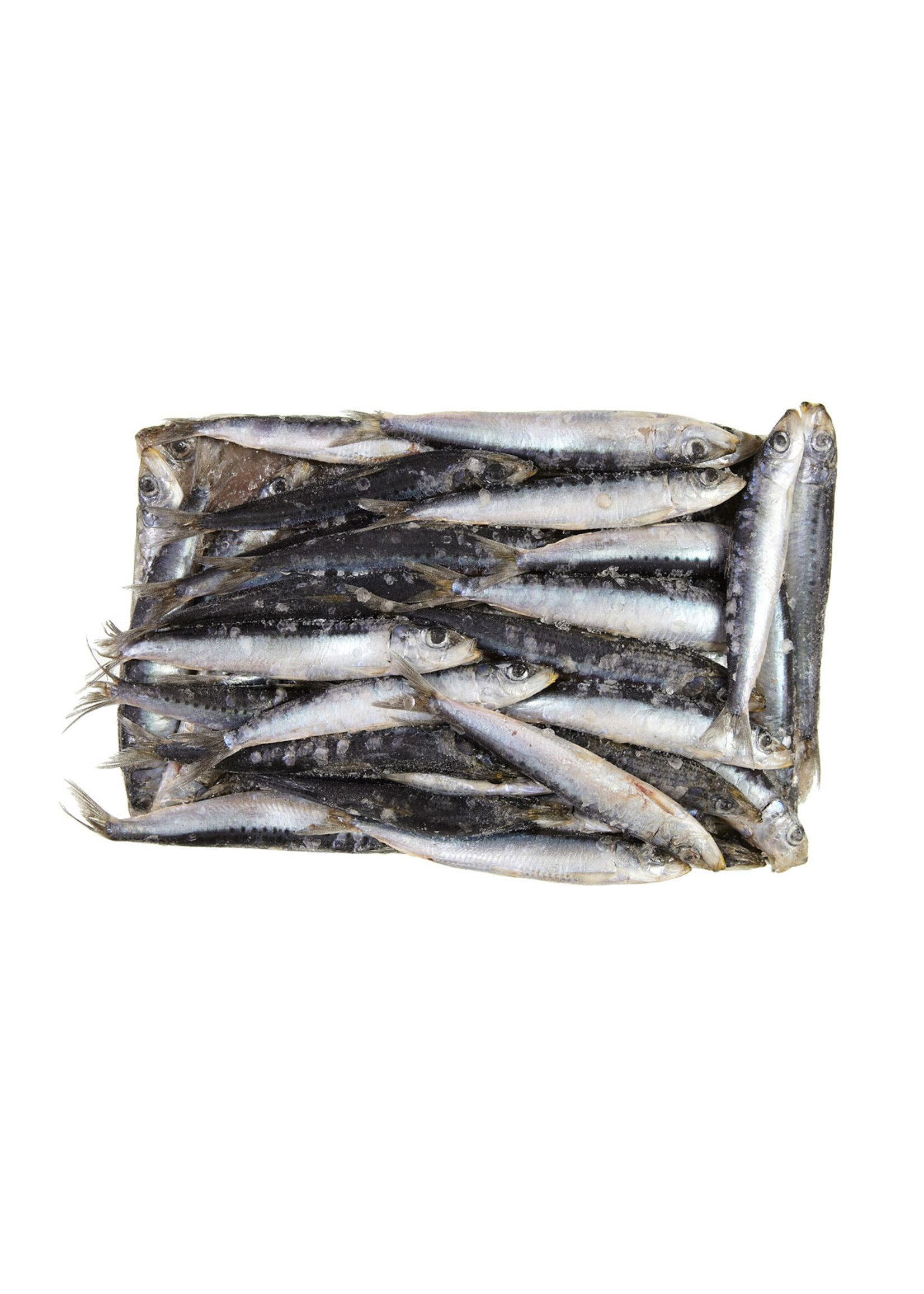 Early Bird Bait EARLY BIRD Mulies 2kg Block