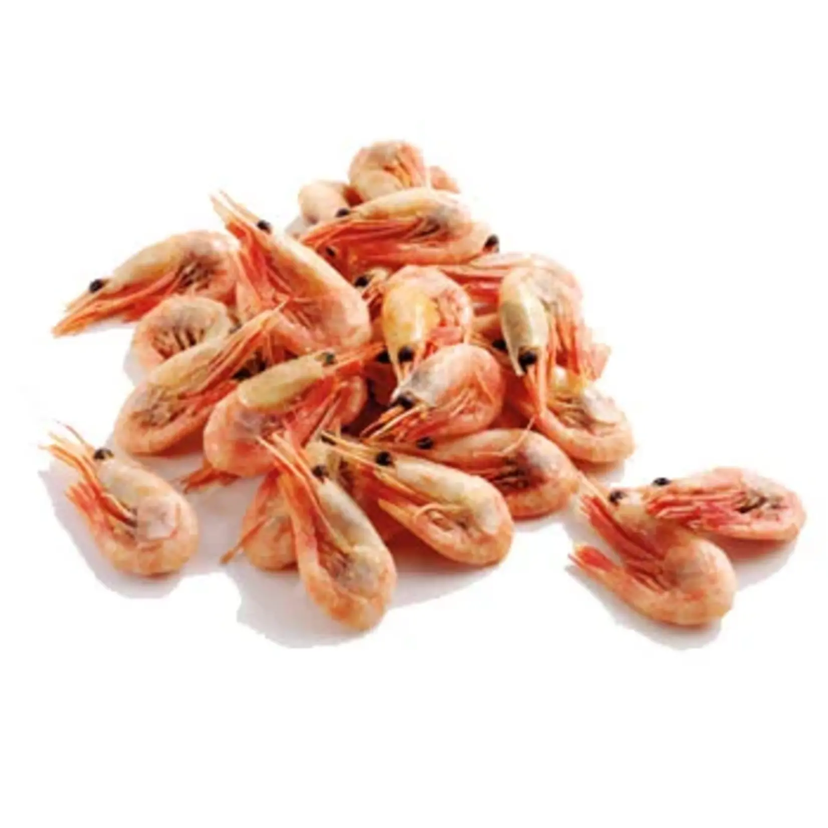 Early Bird Bait EARLY BIRD Coral Prawns 200g