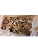 Early Bird Bait EARLY BIRD Tuna Heads 20kg