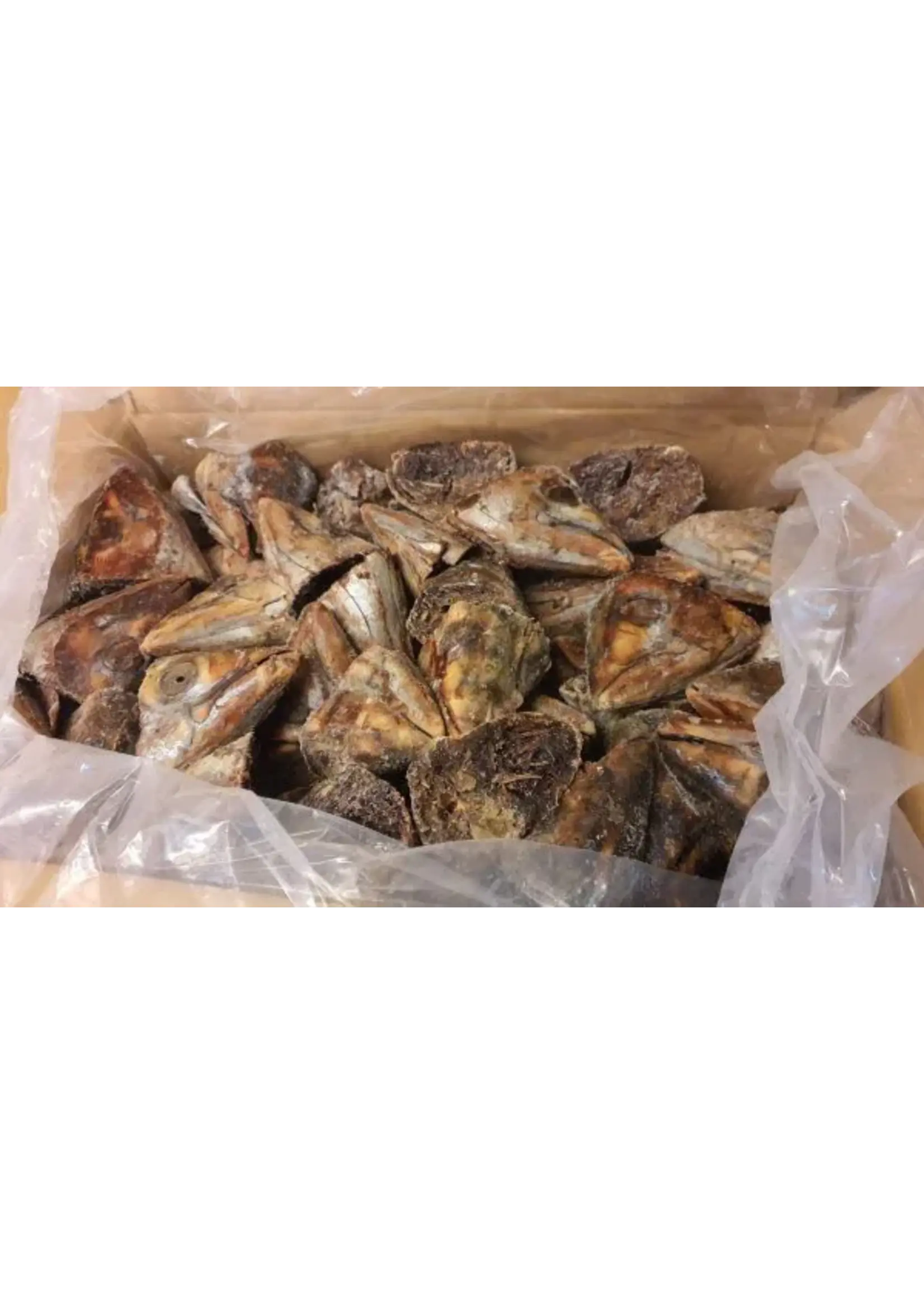 Early Bird Bait EARLY BIRD Tuna Heads 20kg