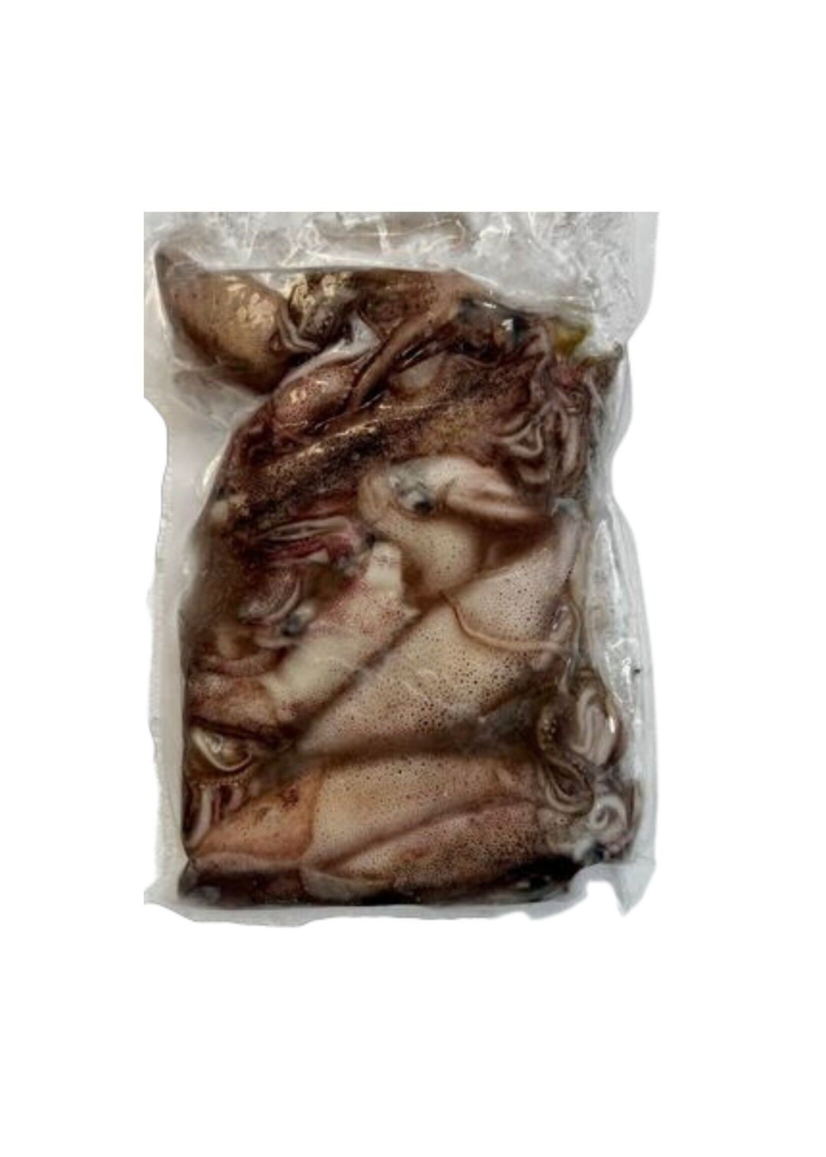 Early Bird Bait EARLY BIRD Squid 500g
