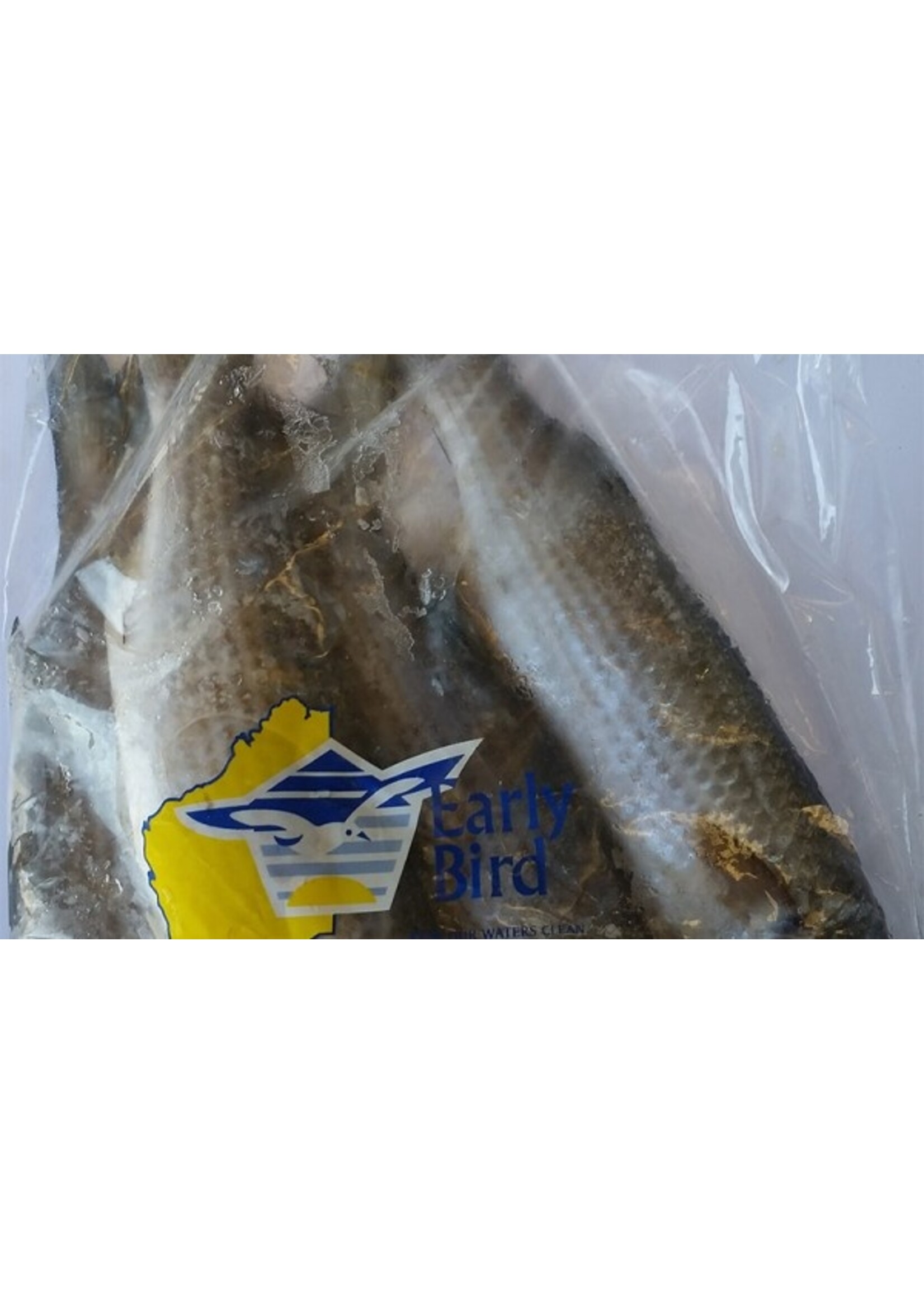 Early Bird Bait EARLY BIRD Sea Herring 1kg