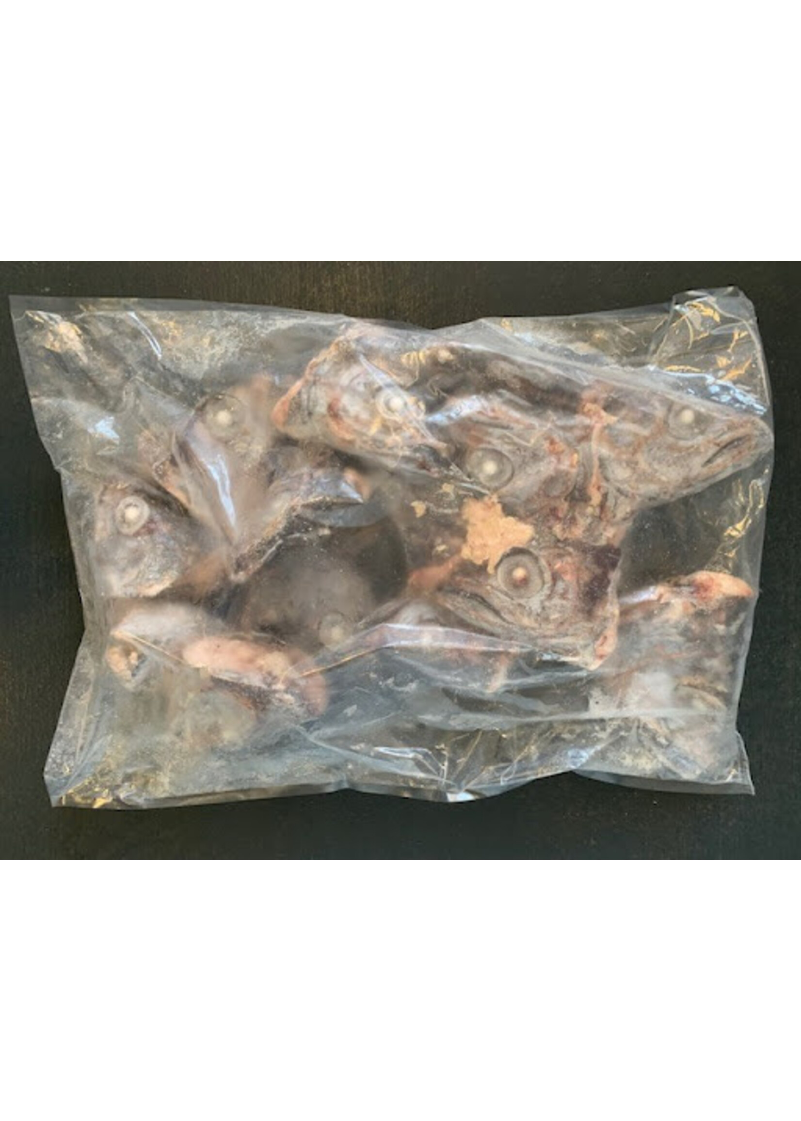 Early Bird Bait EARLY BIRD Hoki Heads 5kg