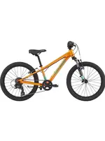 Cannondale CANNONDALE  F Kids Trail 20" Crush