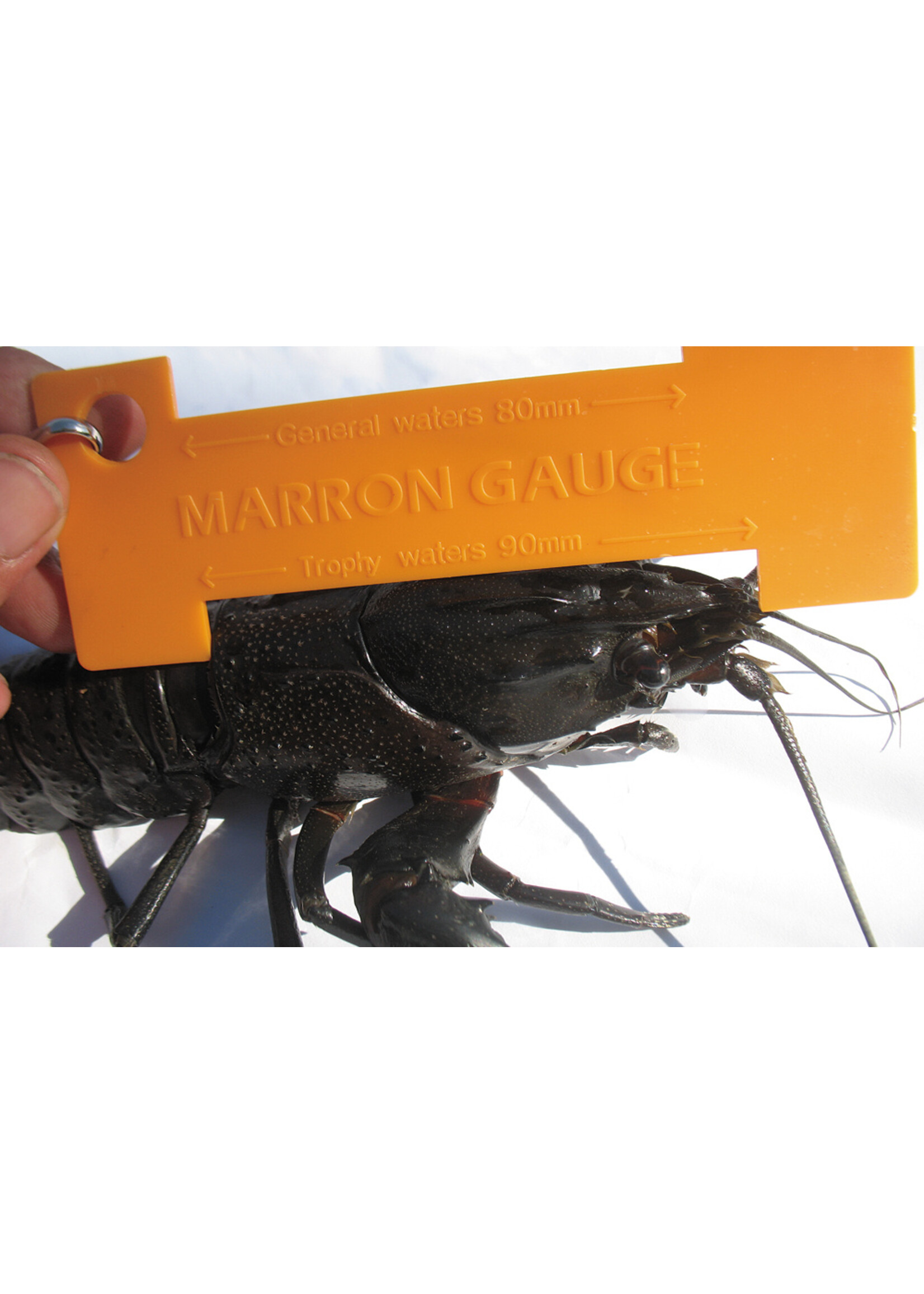 Mako MAKO Crab/Cray/Marron Gauge