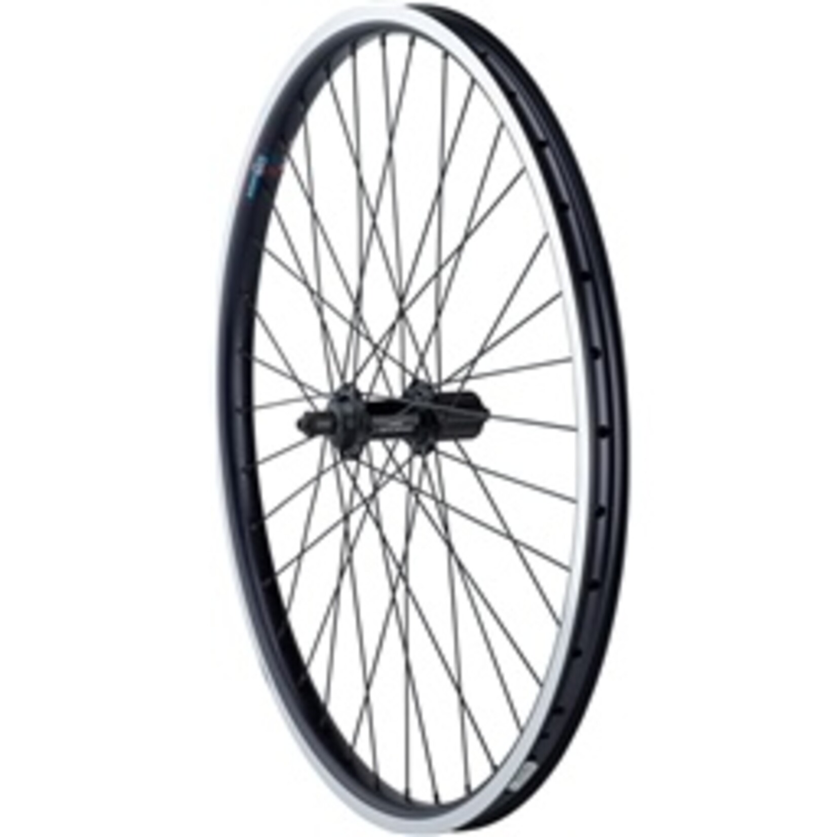 Alex Rims ALEX Rear Rim 20" 7/8 Cass Q/R