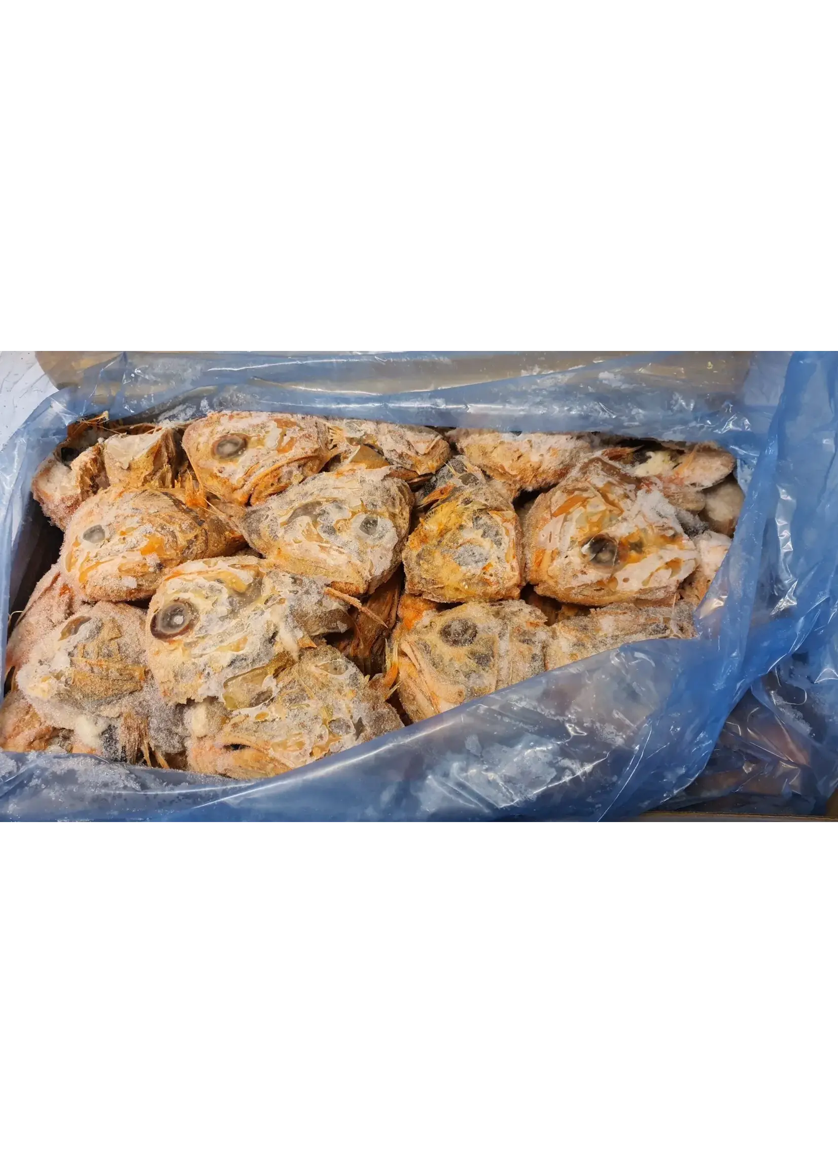 Early Bird Bait EARLY BIRD Orange Roughy Heads 18kg