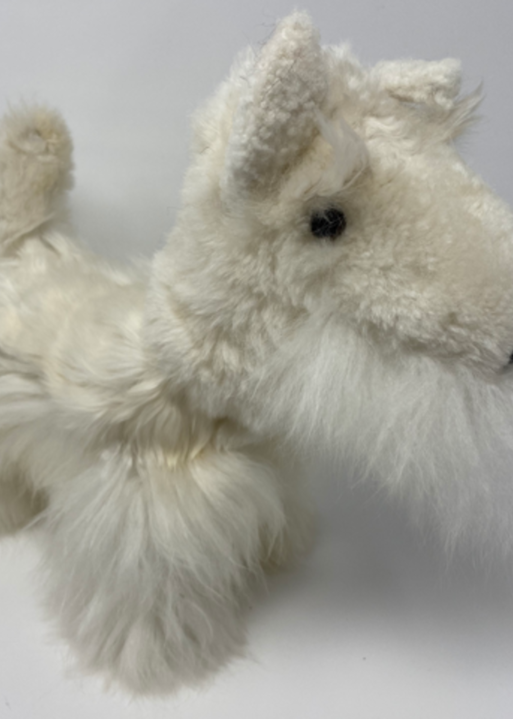 Alpaca Alpaca Stuffed Dog