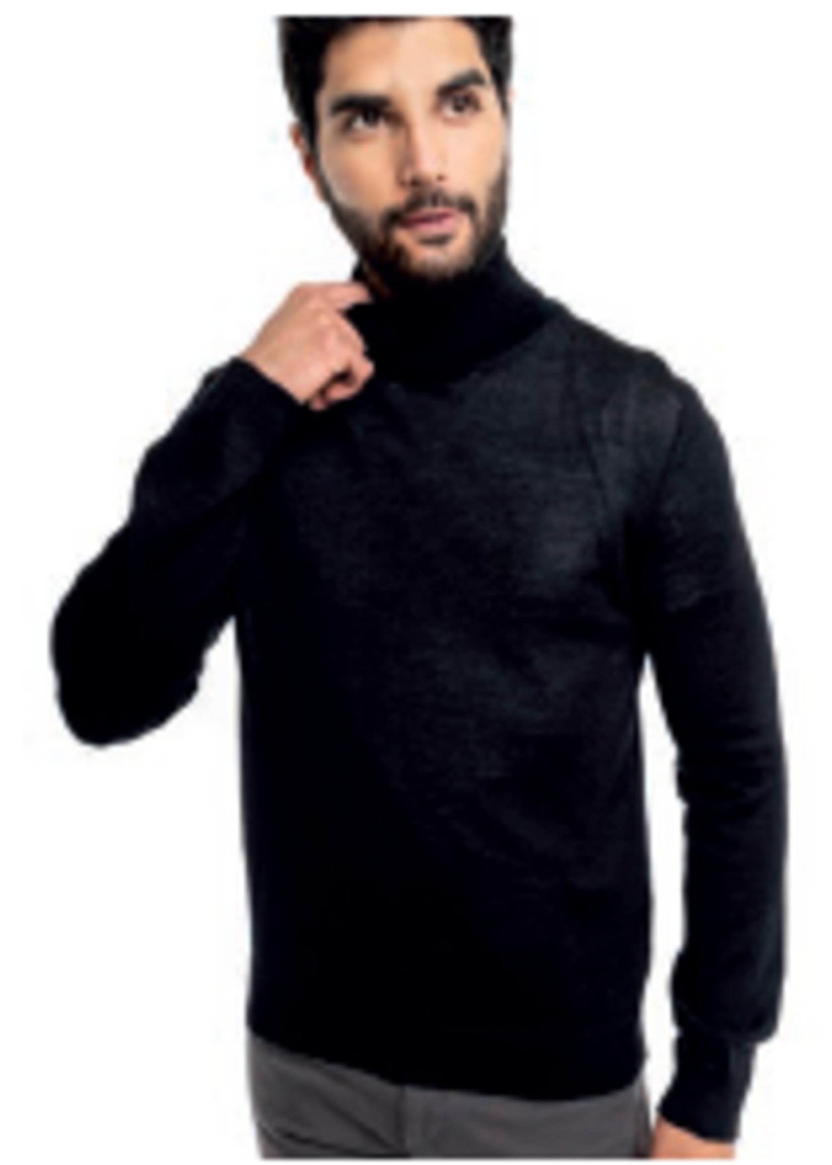 Alpaca Classic Turtle Neck Sweater