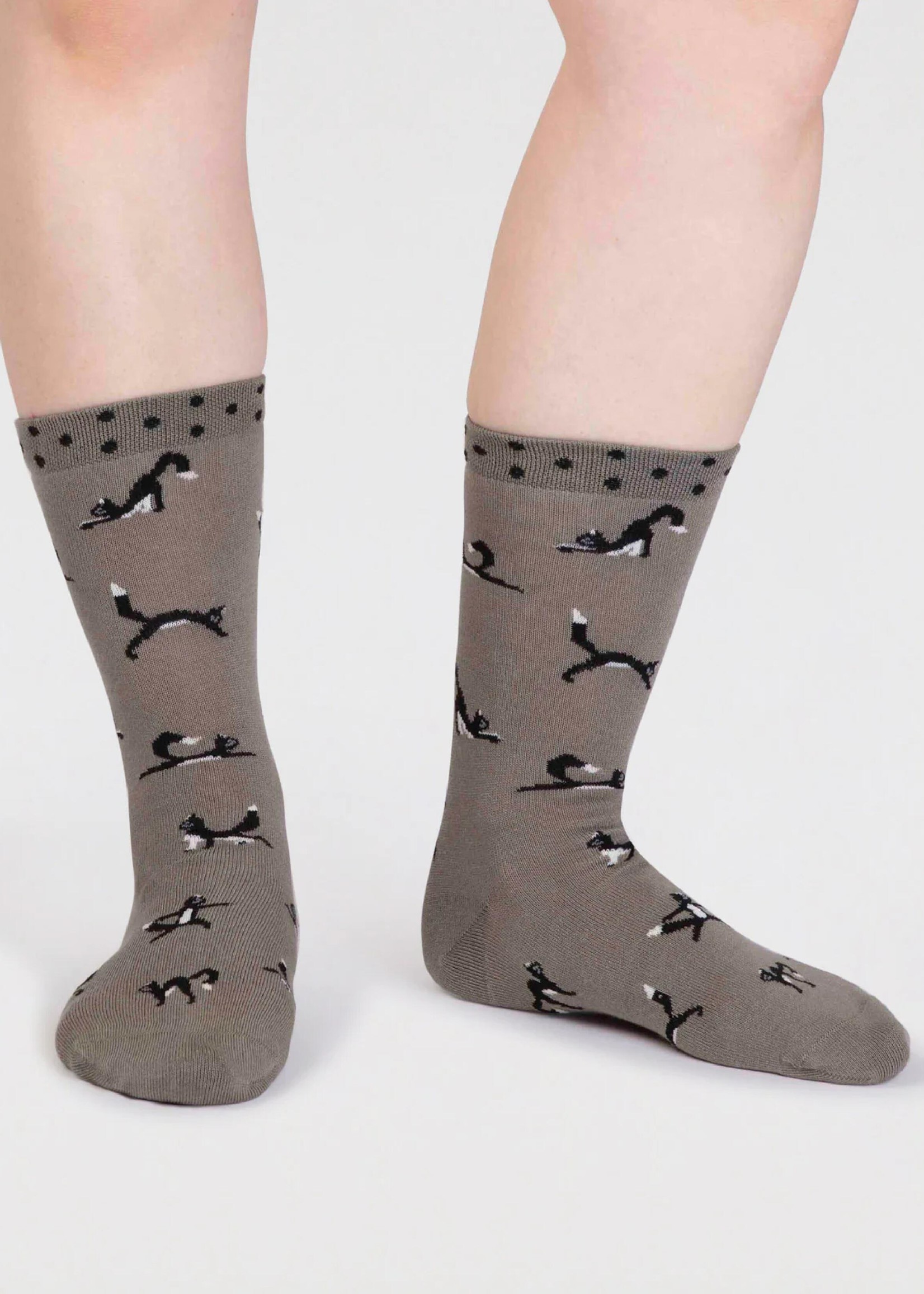 Thought Thought chai cat socks SPW836