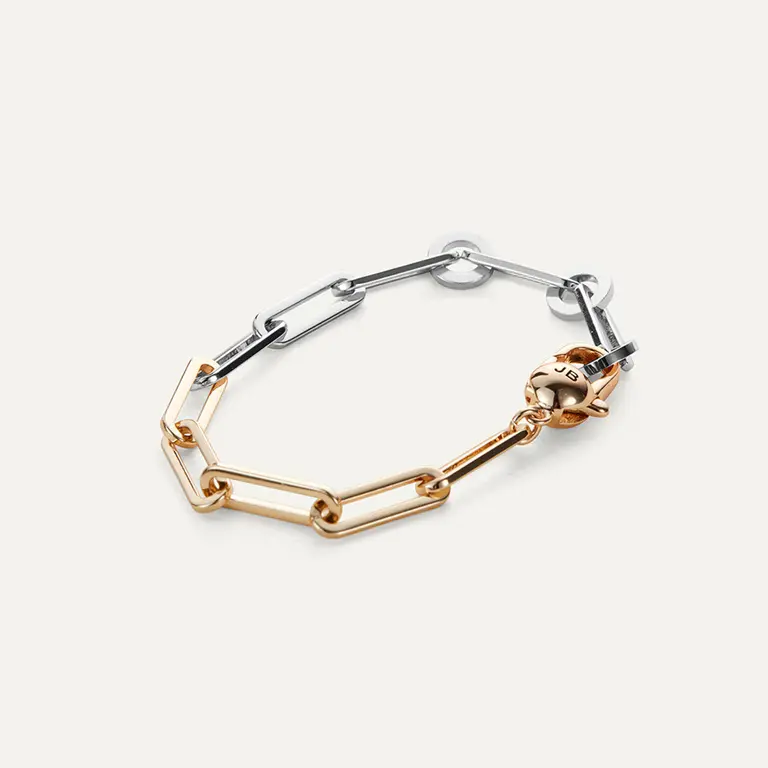 Jenny Bird Jenny Bird Andi Slim Bracelet two tone JB2089-TT