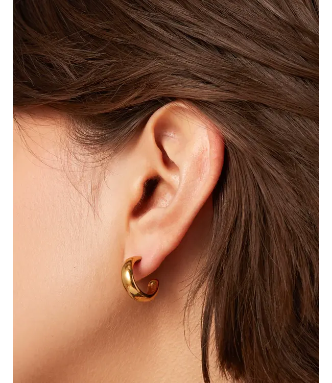 Jenny Bird Jenny Bird Staple hoops small gold JB3419-HPG