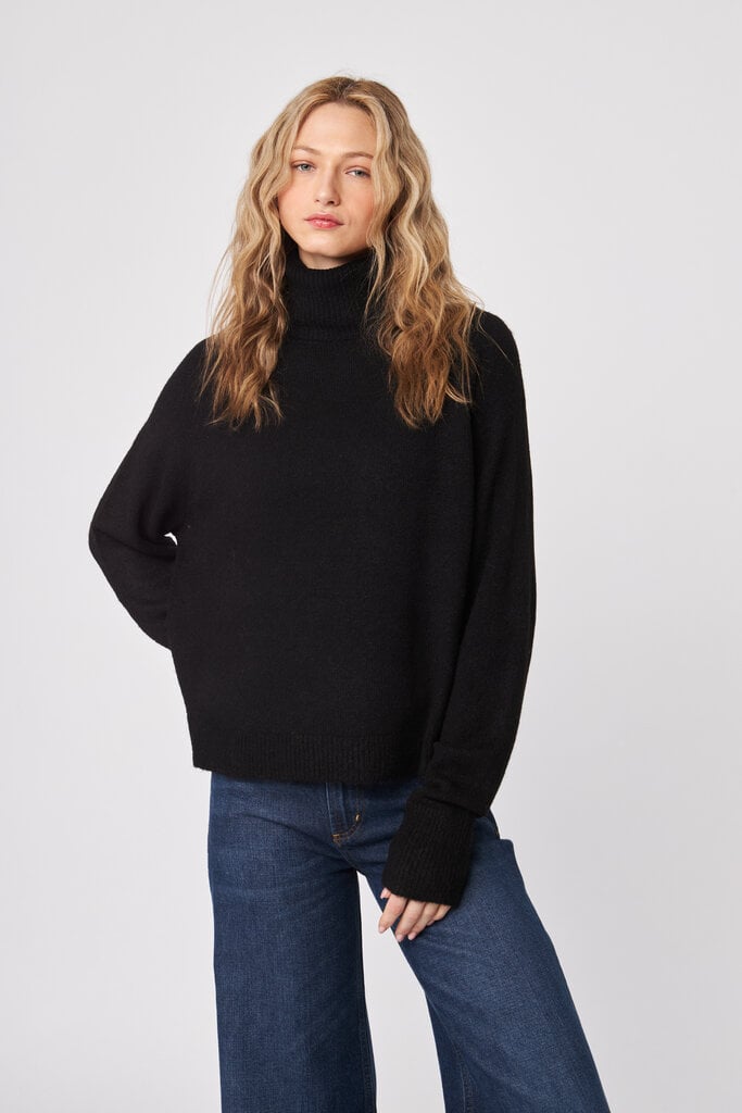 John & Jenn John & Jenn Emmett turtleneck knit sweater F585TN01