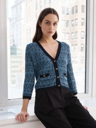 Autumn Cashmere Cropped texture stitch vneck jacket