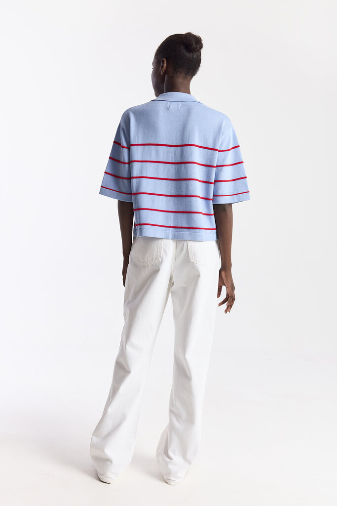 Wispr Wispr Stripe button up polo