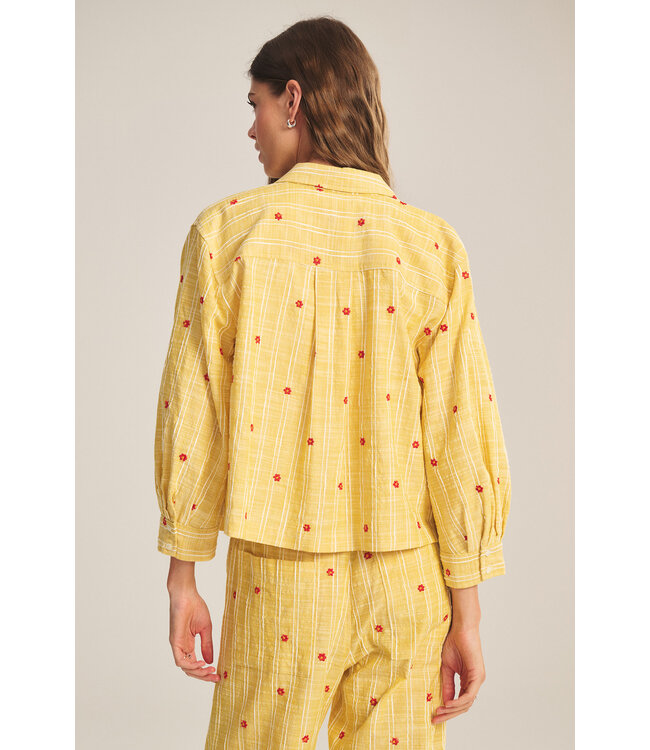 Velvet Astren flower embroidery top