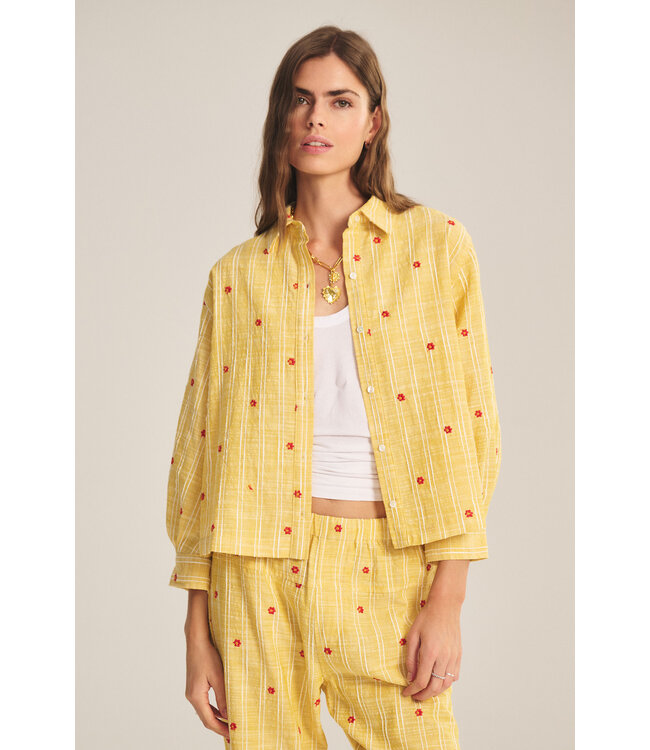 Velvet Astren flower embroidery top