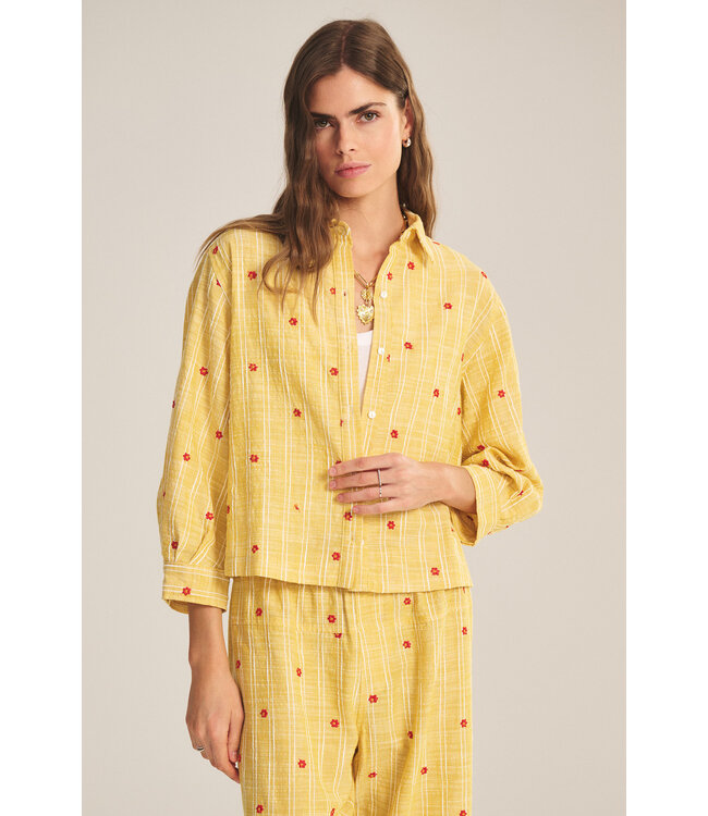 Velvet Astren flower embroidery top