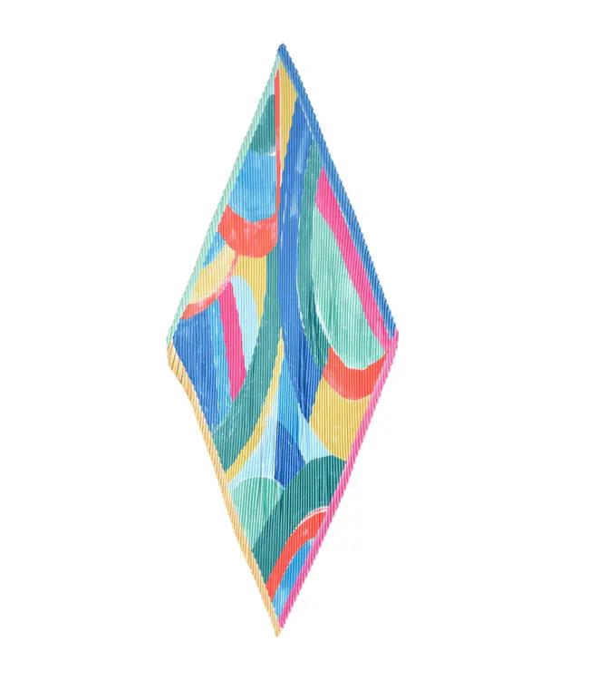 Echo Painterly compostion pleated scarf