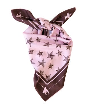 Palm Palm Andrea scarf