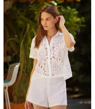 Bella Dahl Short sleeve contrast button down