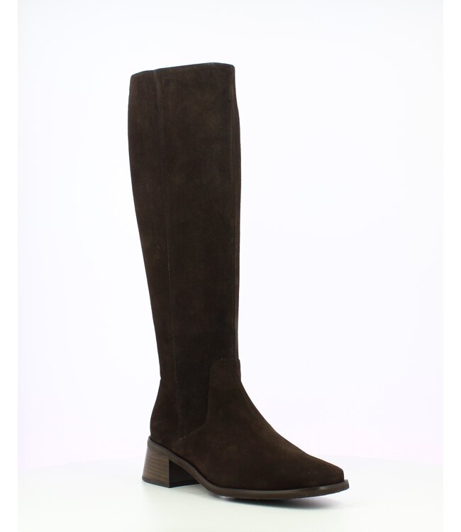 Wonders Suede tall boot
