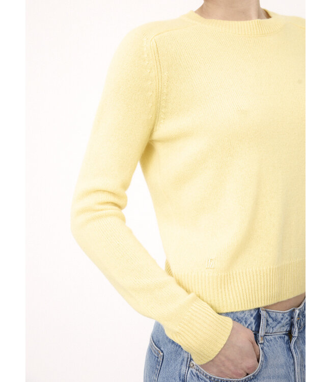 Not Shy  Pansy sweater