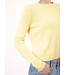 Not Shy  Pansy sweater