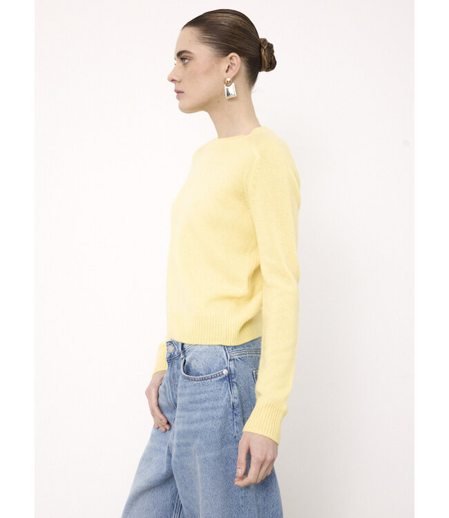 Not Shy  Pansy sweater