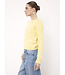 Not Shy  Pansy sweater