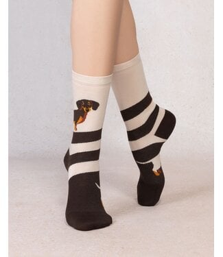 Bleu Foret Dashund pattern sock