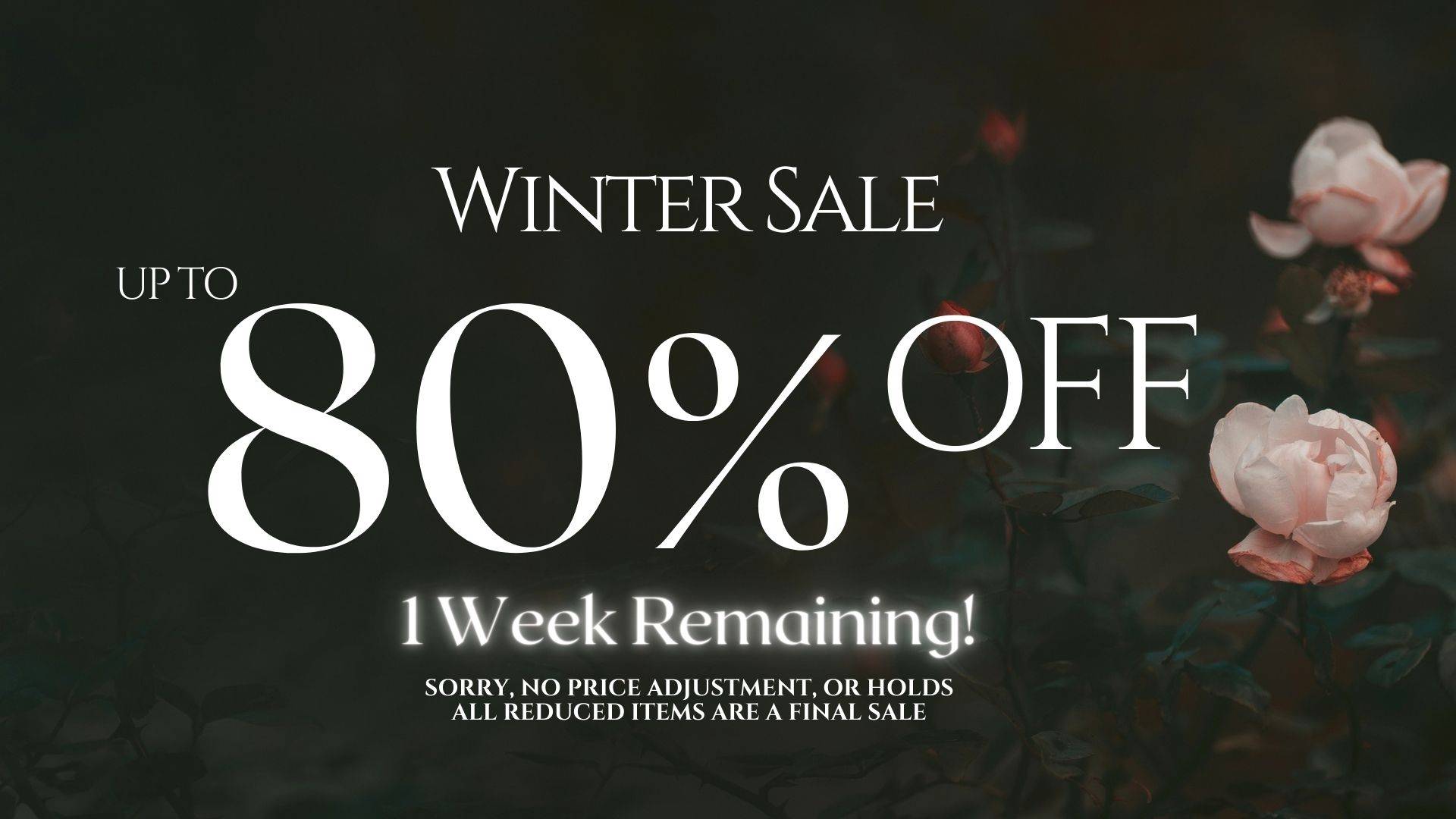 Winter Sale 
