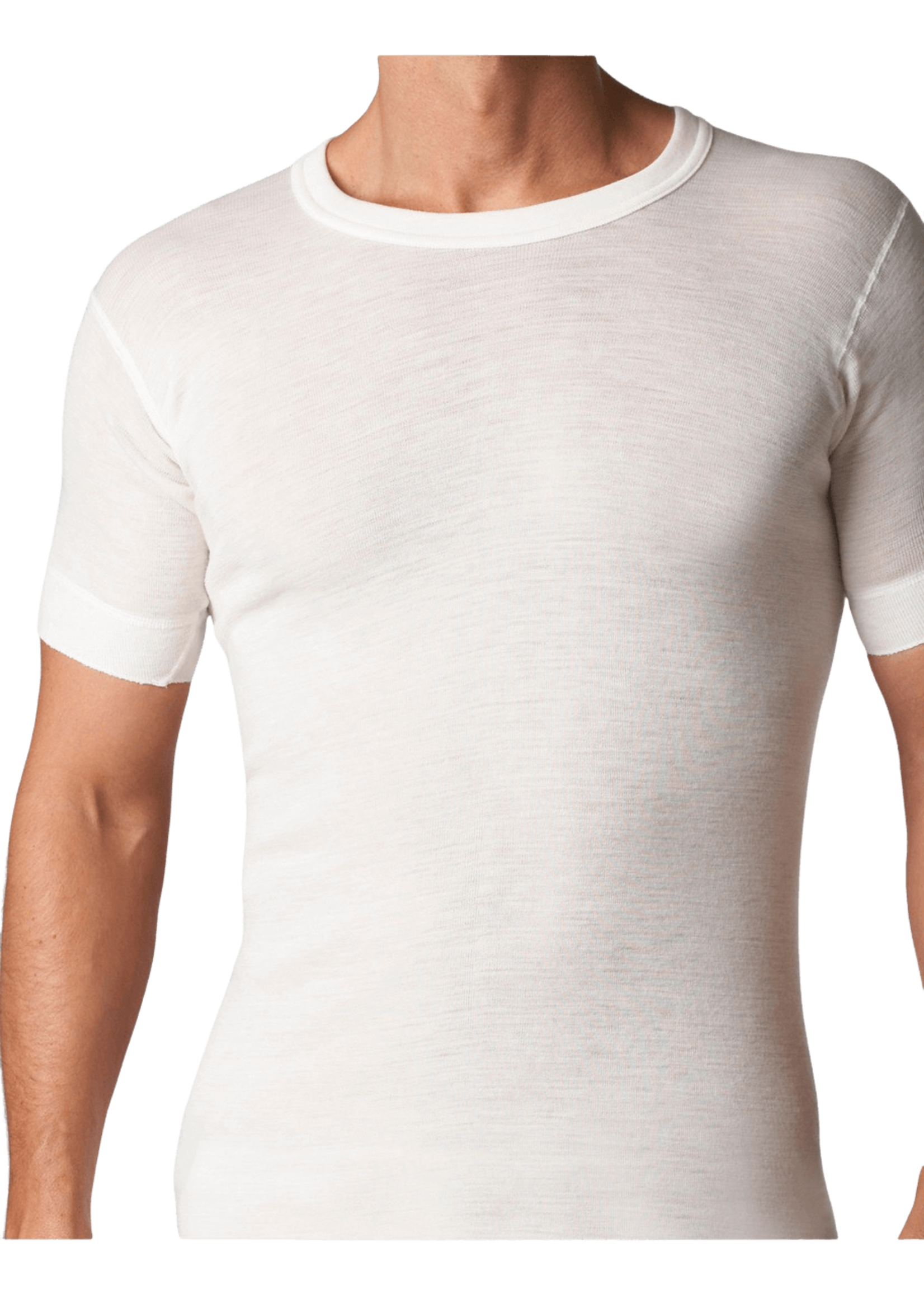 STANFIELD'S Men's superwash wool short sleeve t-shirt