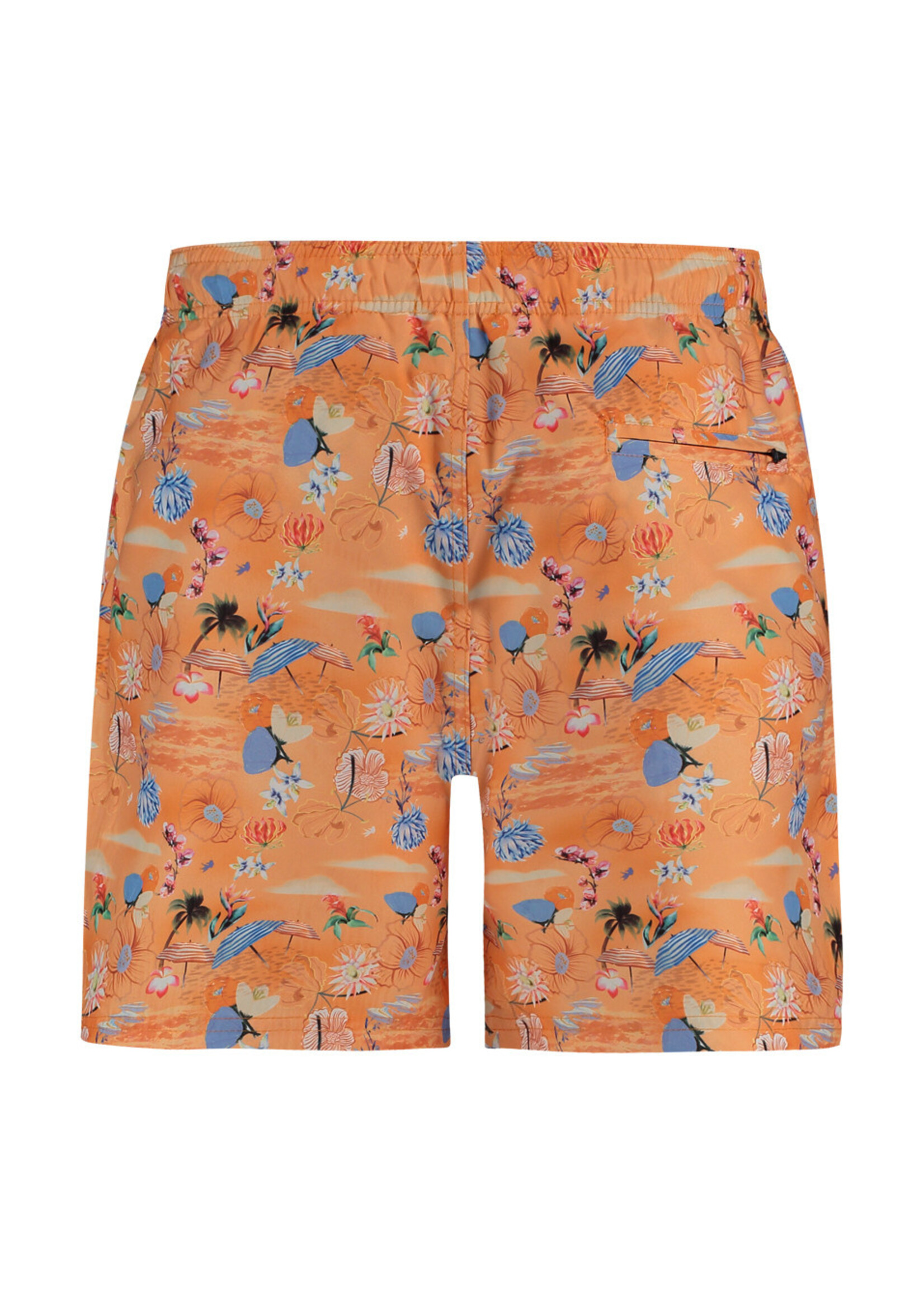 A FISH NAMED FRED Swimshort tropical set