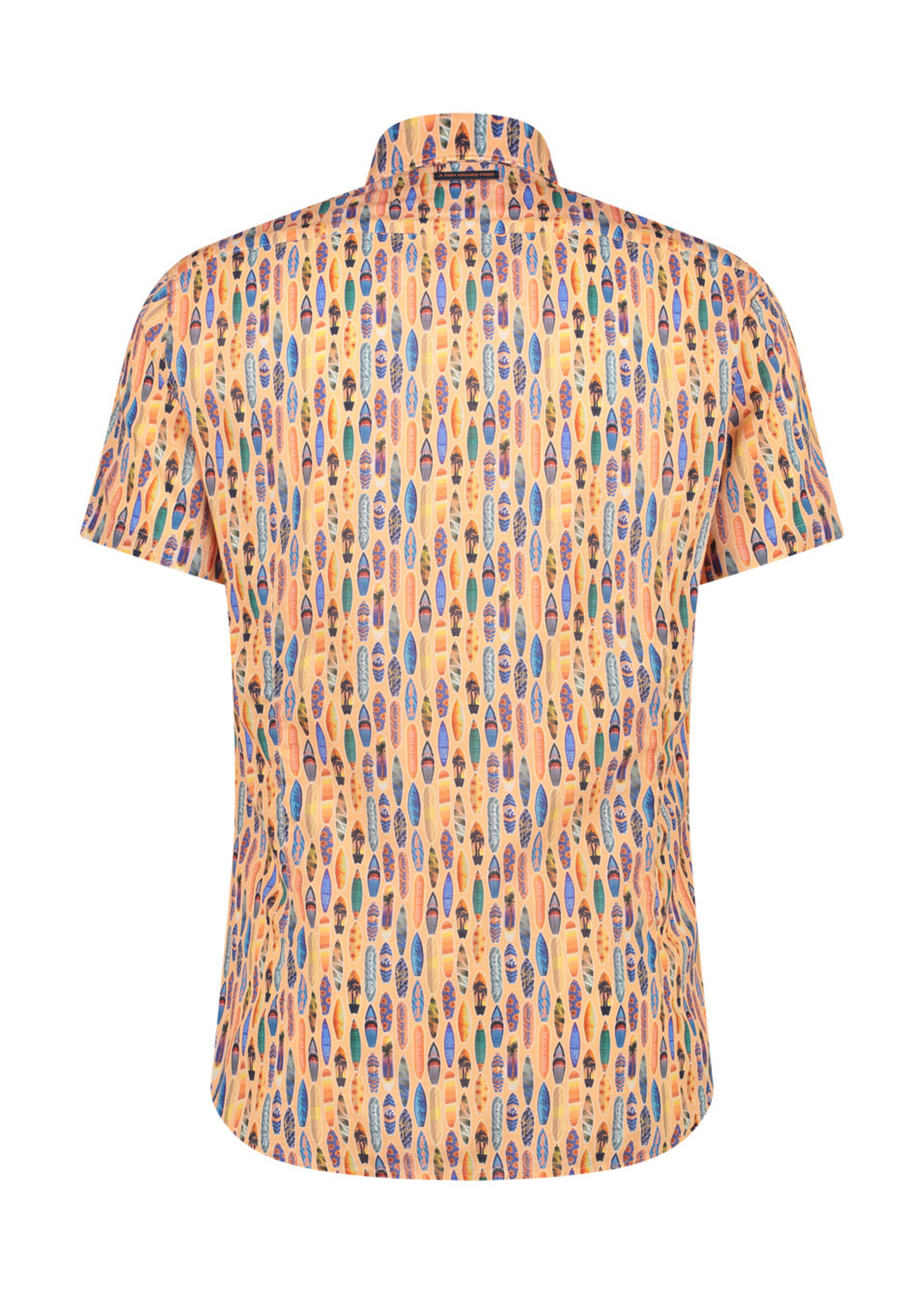 A FISH NAMED FRED Shirt SS surfboard