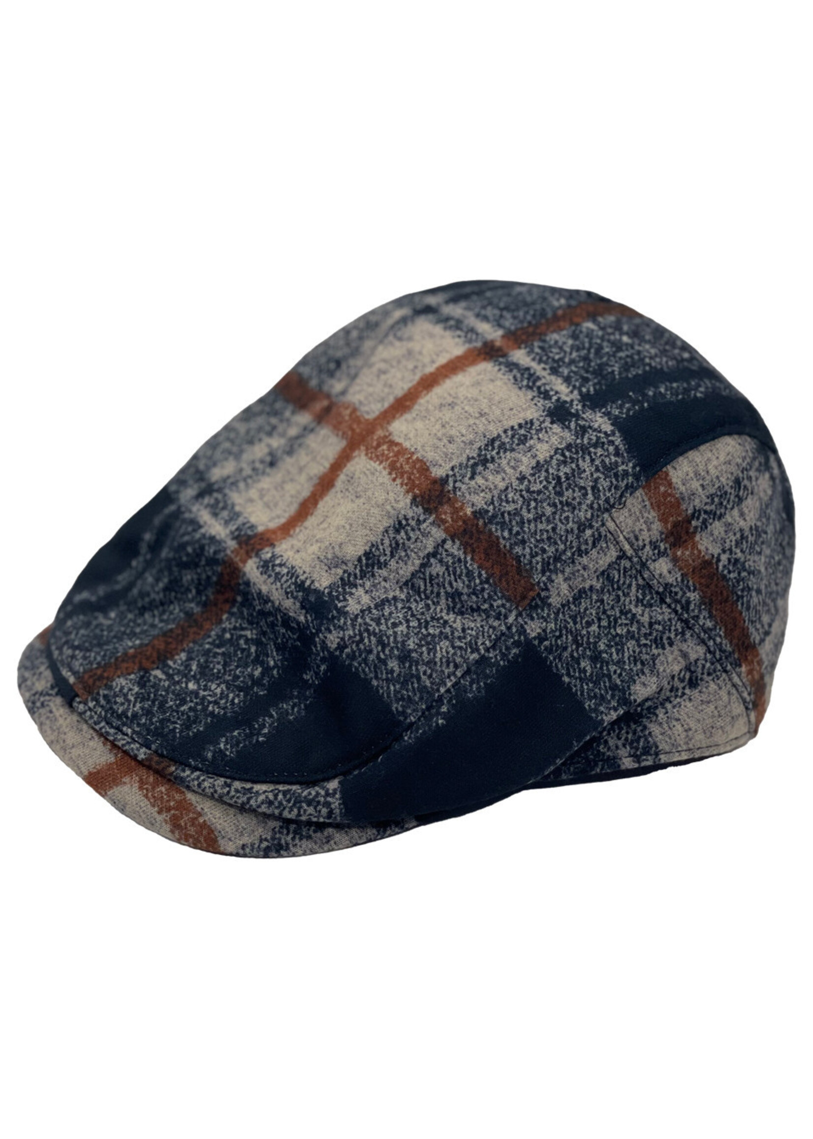 A FISH NAMED FRED Flat cap travel check