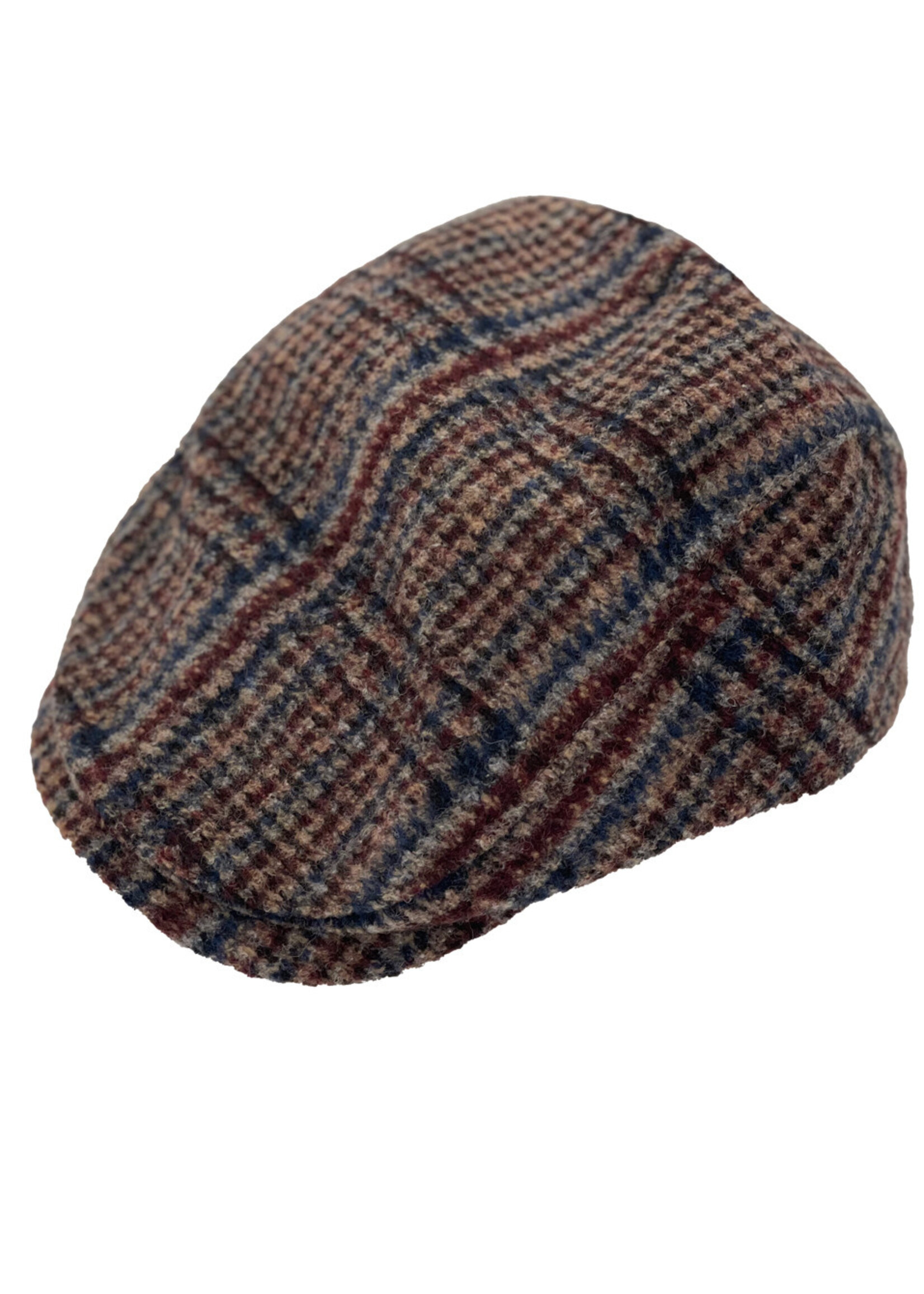 A FISH NAMED FRED Flat cap travel check