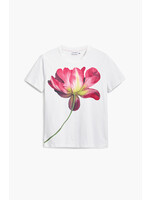 DESIGUAL T-Shirt Desigual fleur géante - 3 couleurs disponibles