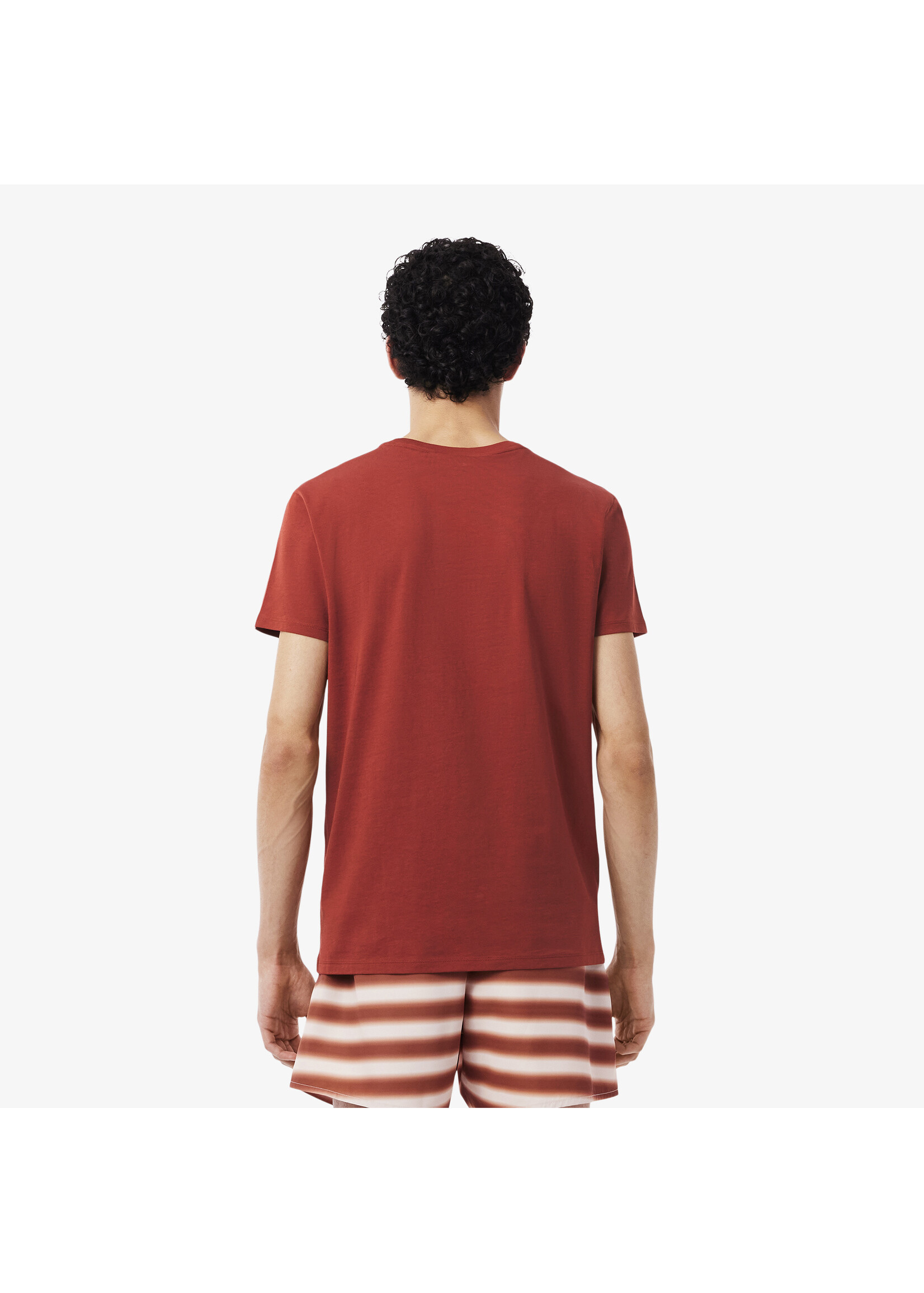 LACOSTE T-shirt col rond en jersey de coton pima uni pour homme-IBERIS