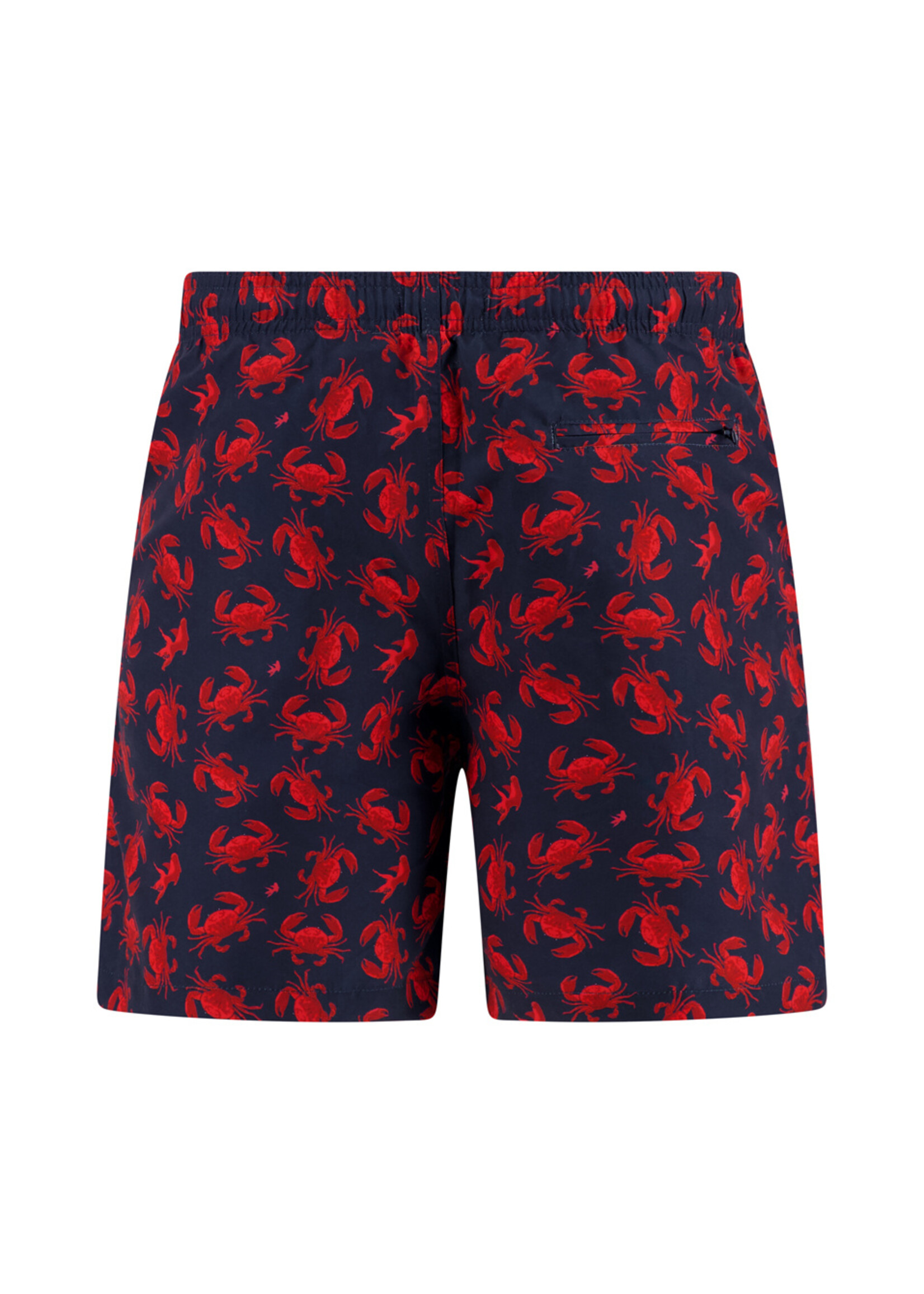 A FISH NAMED FRED AFNF Swimsuit - CRABS