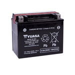 YUASA YUASA AGM MAINTENANCE BATTERY