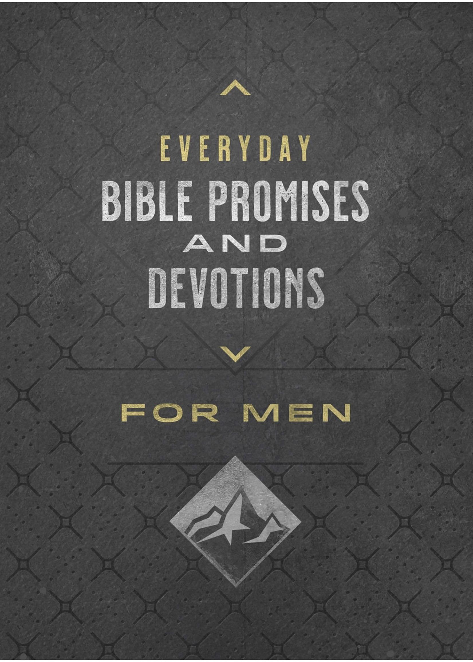 Barbour Publishing Everyday Bible Promises and Devotions for Men