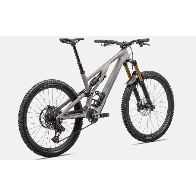 Specialized Bike StumpJumper EVO Pro T-Type 2024