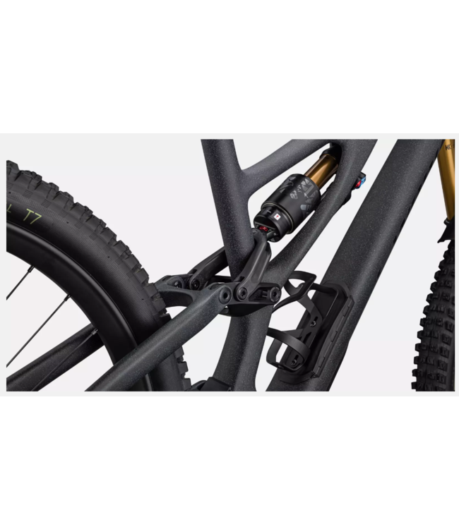 Specialized Bike SWorks StumpJumper EVO 2024 FanatykCo Ski & Cycle